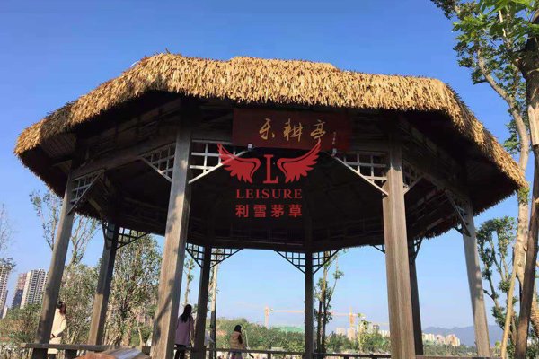 北京茅草亭項目