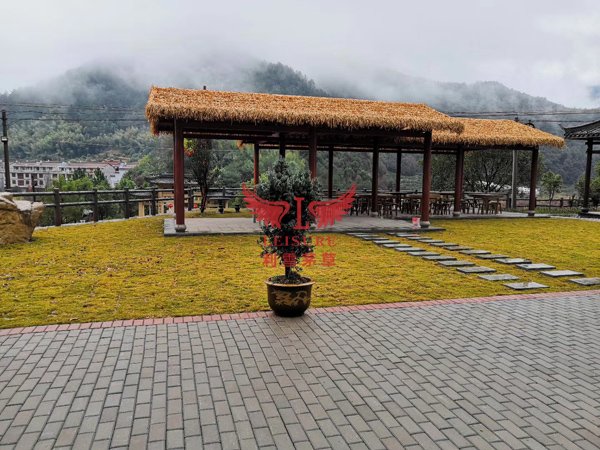 石家莊茅草亭項目