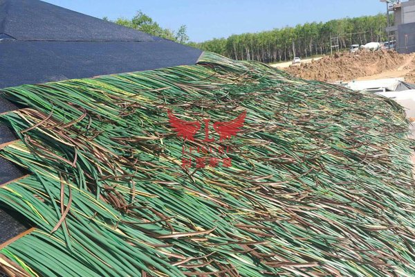 陽(yáng)江茅草亭項(xiàng)目
